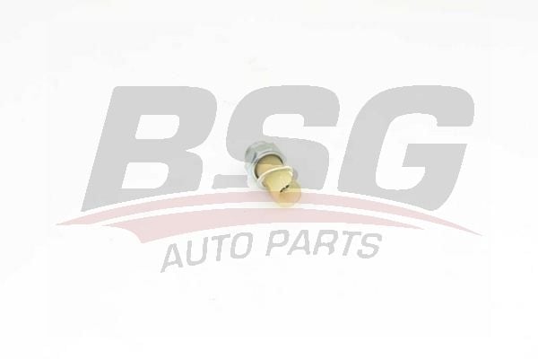 Renault 11 1983-1995 Arası 1.7 BSG Marka Yağ Müşürü