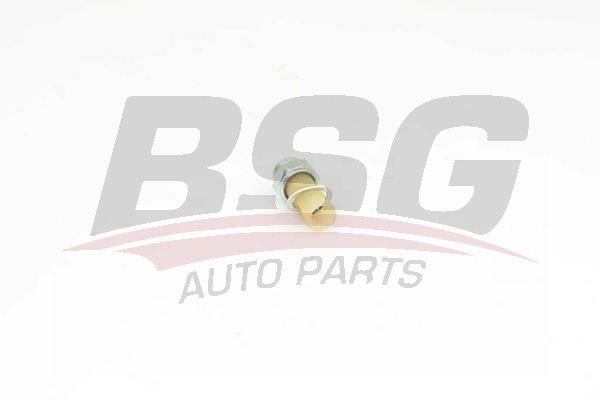 Renault 11 1983-1995 Arası 1.7 BSG Marka Yağ Müşürü