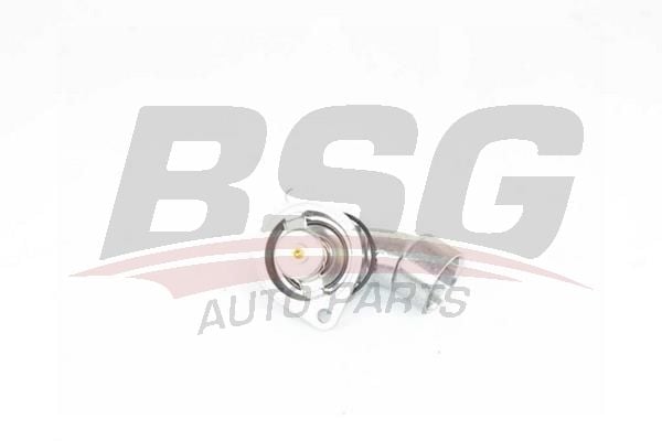 Opel Omega 1994-2005 Arası 2.5 V6, 3.0 V6 BSG Marka Termostat