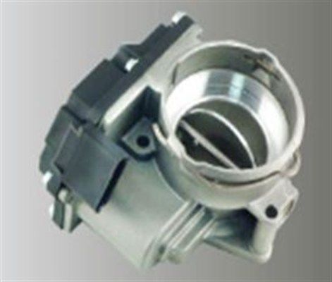 Seat Cordoba 2002-2009 Arası 1.9 TDI Magneti Marelli Marka Gaz Kelebeği