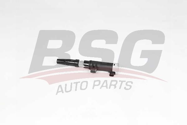 Renault Clio 1998-2016 Arası 1.6, 1.6 16V BSG Marka Ateşleme Bobini