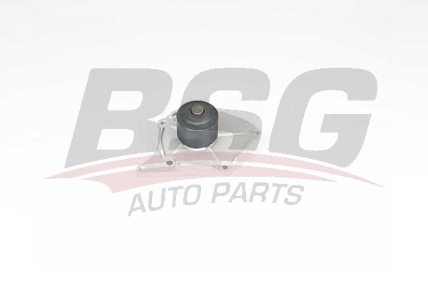 Renault Clio 1998-2016 Arası 1.5 dCi BSG Marka Devirdaim Su Pompası