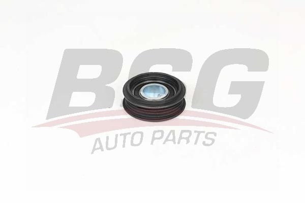 Volkswagen Passat 1988-2001 Arası 1.9 TDI BSG Marka Vantilatör Kayış Gergi Rulmanı