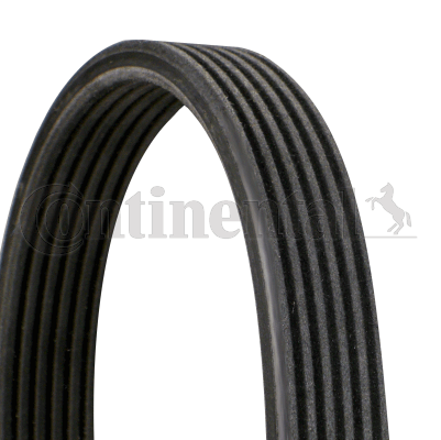 Volkswagen Polo 1995-2009 Arası 100 1.6 Continental Marka Vantilatör Kayışı