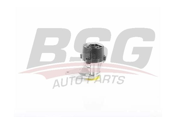 Citroen Xantia 1993-2003 Arası 1.9 D, 1.9 Turbo D BSG Marka Vakum Pompası