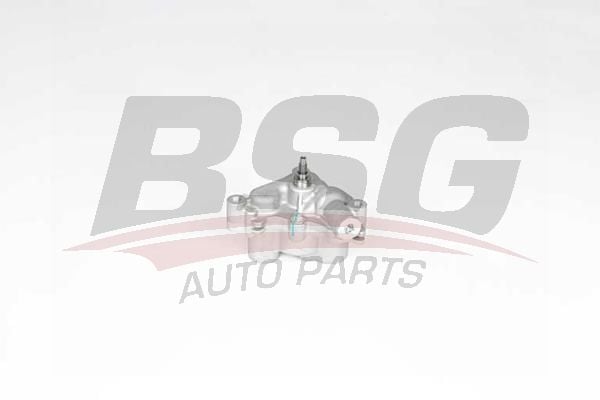 Dacia Duster 2010-2018 Arası 1.6 SCe 115, 1.6 SCe 115 4x4, 1.6 SCe 115 LPG BSG Marka Yağ Pompası
