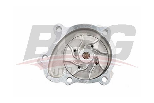 Opel Zafira 2005-2015 Arası 1.7 CDTI VAN BSG Marka Devirdaim Su Pompası