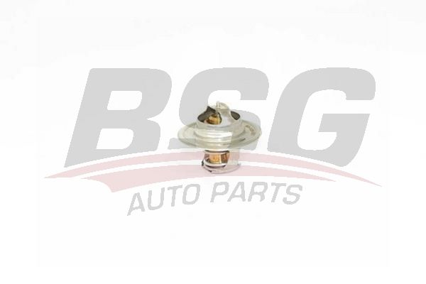Audi A4 1994-2001 Arası 1.6 BSG Marka Termostat