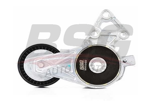 Skoda Octavia 2004-2013 Arası 1.6 LPG BSG Marka Vantilatör Kayış Gergi Rulmanı