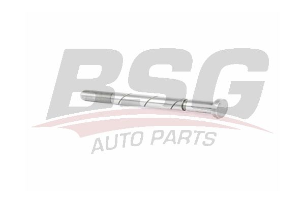 Ford Sierra 1987-1993 Arası 1.8 TD BSG Marka Vakum Pompası
