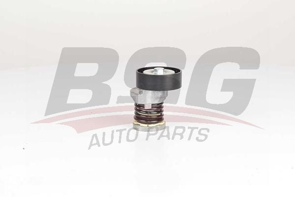 Volkswagen Passat 2005-2015 Arası 1.6 TDI, 2.0 TDI, 2.0 TDI 4motion BSG Marka Vantilatör Kayış Gergi Rulmanı