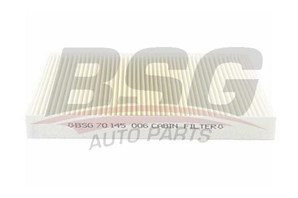 Citroen C4 2004-2014 Arası 1.6 THP 155 BSG Marka Polen Filtresi