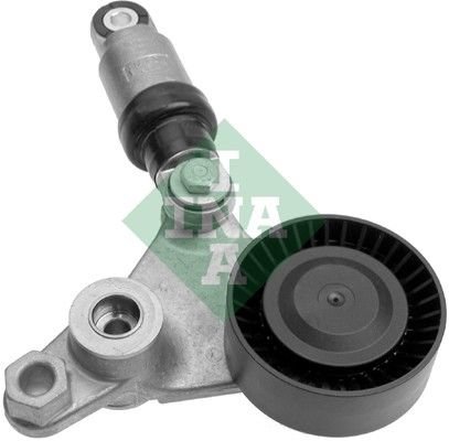 Renault Espace 2002-2006 Arası 3.0 dCi INA Marka Vantilatör Kayış Gergi Rulmanı