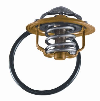 Seat Altea 2004-2008 Arası 2.0 TDI 16V BorgWarner (Wahler) Marka Termostat