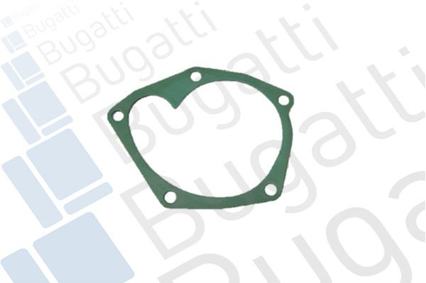 Renault Megane 2001-2012 Arası 1.5 dCi Bugatti Marka Devirdaim Su Pompası