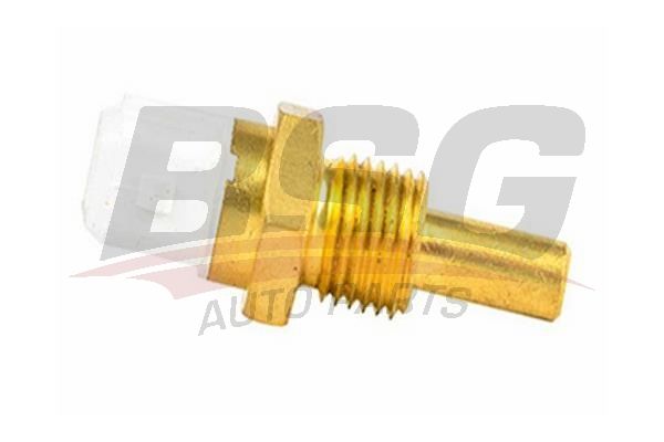 Audi A8 1994-2005 Arası 4.2 quattro BSG Marka Hararet Müşürü