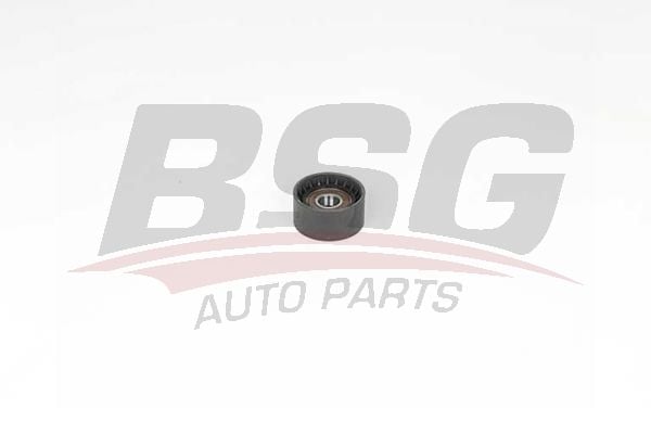 Renault Laguna 1993-2007 Arası 1.9 dCi, 1.6 16V BSG Marka Vantilatör Kayış Gergi Rulmanı