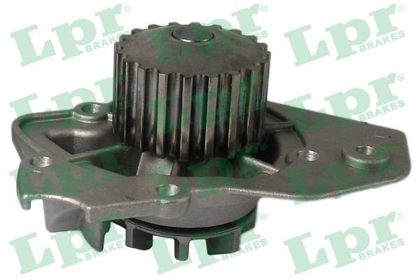 Citroen Bx 1982-1994 Arası 16, 19 LPR Marka Devirdaim Su Pompası