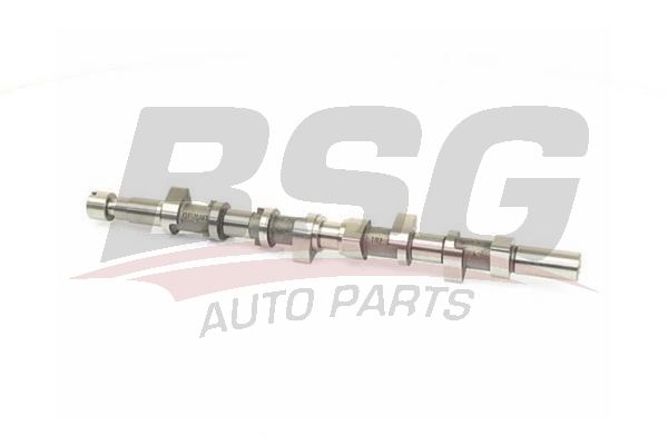 Renault Megane 1995-2008 Arası 1.9 dTi, 1.9 dCi BSG Marka Eksantrik Mili