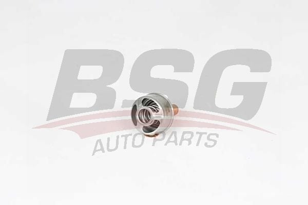 Renault 11 1983-1995 Arası 1.2 BSG Marka Termostat