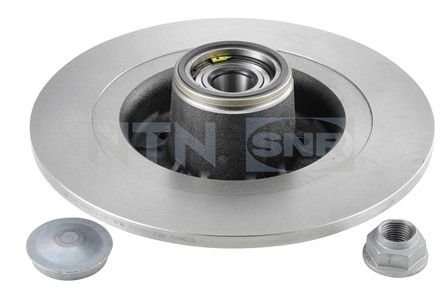 Renault Clio 2005-2014 Arası 2.0 16V Sport SNR Marka Arka Fren Diski