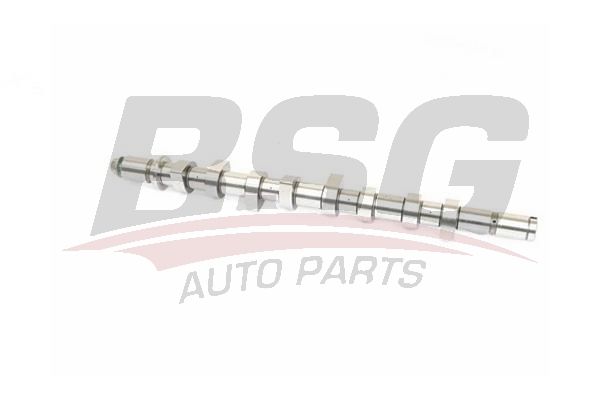 Renault Symbol 2008-2012 Arası 1.5 dCi BSG Marka Eksantrik Mili