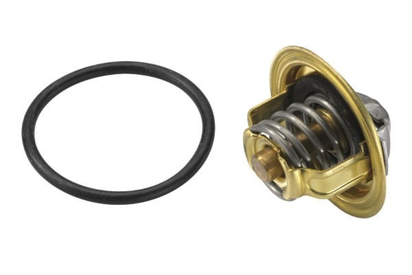 Volkswagen Passat 2005-2011 Arası 2.0 TDI BorgWarner (Wahler) Marka Termostat