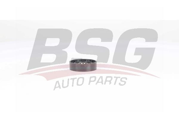 Fiat Brava 1995-2003 Arası 1.9 JTD 105 BSG Marka Vantilatör Kayış Gergi Rulmanı