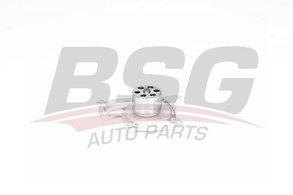 Renault Scenic 2008-2012 Arası 1.5 dCi BSG Marka Devirdaim Su Pompası