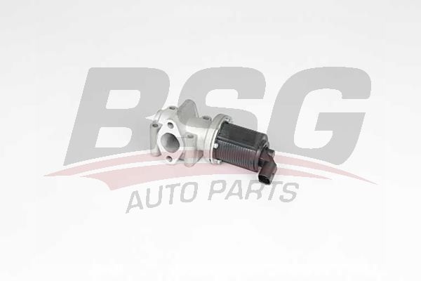 Alfa Romeo 166 1998-2007 Arası 2.4 JTD BSG Marka EGR Valfi