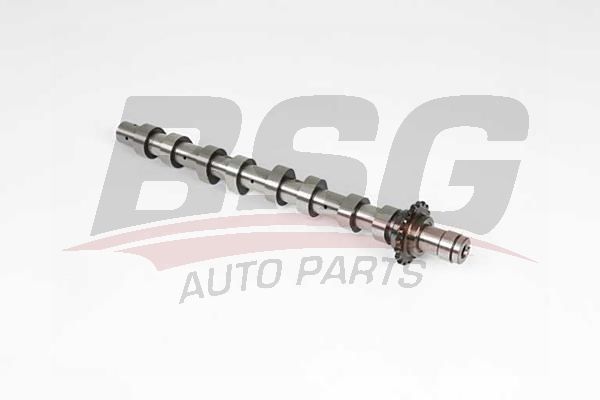 Ford Focus 2004-2013 Arası 1.6 TDCi BSG Marka Eksantrik Mili