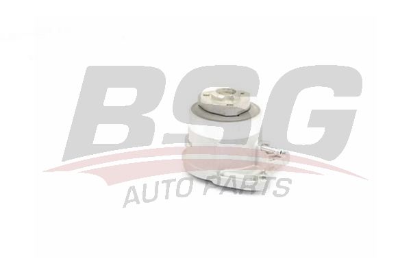 Volkswagen Beetle 2011-2019 Arası 1.2 TSI BSG Marka Devirdaim Su Pompası
