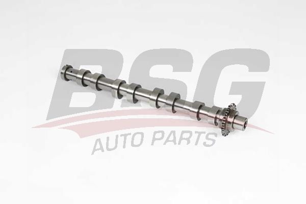 Ford Focus 2004-2013 Arası 1.6 TDCi BSG Marka Eksantrik Mili