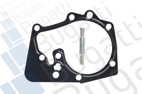 Renault Kangoo 1997-2001 Arası 1.6 16V bivalent Bugatti Marka Devirdaim Su Pompası