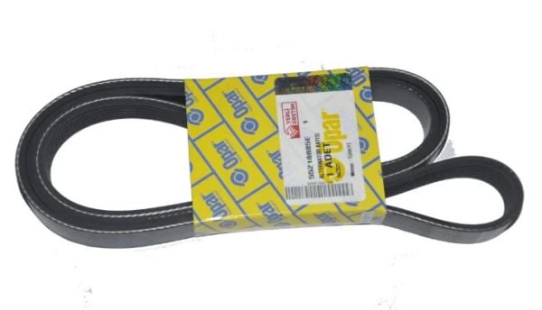 Fiorino 1.3 Euro 6 V Kayışı 6PK1525 Orijinal 55218885E