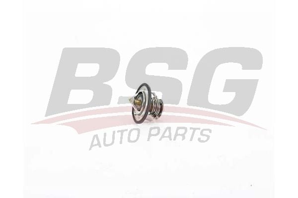 Chevrolet Cruze 2009-2013 Arası 2.0 CDI BSG Marka Termostat