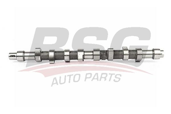 Peugeot 205 1983-2000 Arası 1.7 Diesel BSG Marka Eksantrik Mili