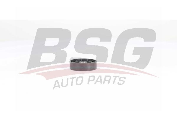 Renault Megane 2001-2012 Arası 2.0 dCi BSG Marka Vantilatör Kayış Gergi Rulmanı