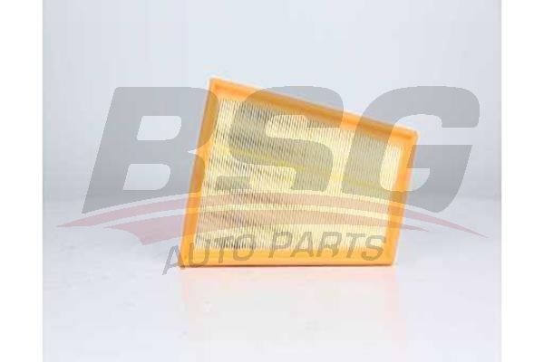 Renault Kangoo 2008-2013 Arası 1.6, 1.5 dCi 75, 1.5 dCi 70, 1.5 dCi 110, 1.5 dCi BSG Marka Hava Filtresi
