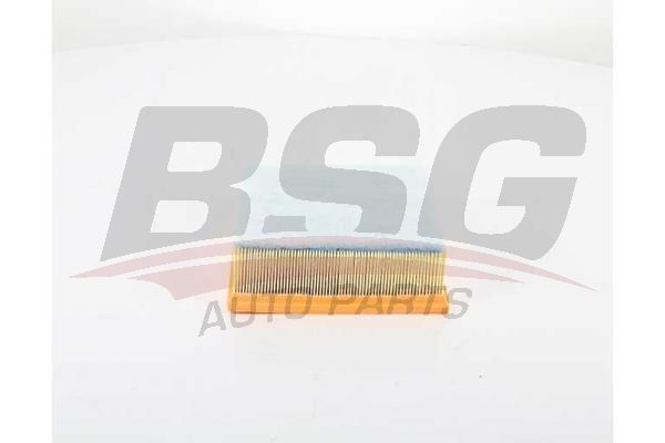 Ford S-Max 2006-2014 Arası 2.5 ST BSG Marka Hava Filtresi