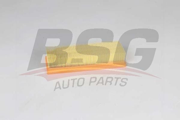 Renault Clio 2012-2016 Arası 1.5 dCi 90, 1.5 dCi 75 BSG Marka Hava Filtresi