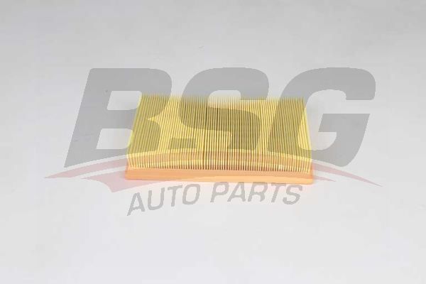 Ford Fiesta 1995-2006 Arası 1.3 i BSG Marka Hava Filtresi