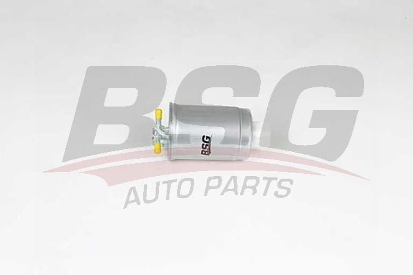 Ford Galaxy 1995-2006 Arası 1.9 TDI BSG Marka Yakıt Filtresi