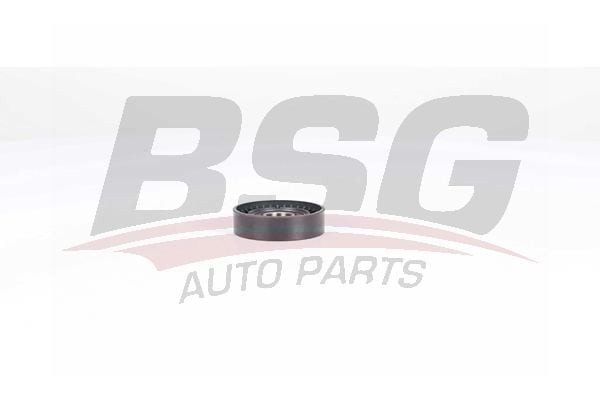 Fiat Punto 1999-2012 Arası 1.3 JTD 16V, 1.3 D Multijet BSG Marka Vantilatör Kayış Gergi Rulmanı