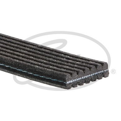 Porsche Cayenne 2002-2014 Arası 3.6, 3.2 Gates Marka Vantilatör Kayışı