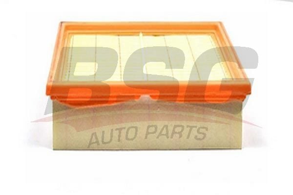 Ford Transit 1985-1994 Arası 2.5 D, 2.5 DI, 2.5 TD BSG Marka Hava Filtresi