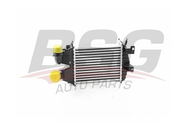 Opel Zafira 2005-2019 Arası 1.9 CDTI BSG Marka Turbo Radyatörü