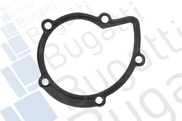 Ford Galaxy 2006-2015 Arası 2.0 TDCi Bugatti Marka Devirdaim Su Pompası