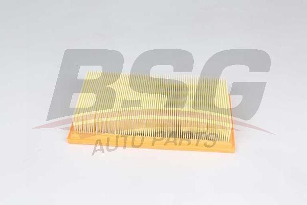 Ford C-Max 2003-2007 Arası 2.0 TDCi BSG Marka Hava Filtresi