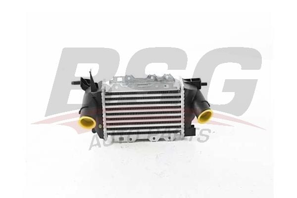 Opel Vectra 1995-2004 Arası 2.0 DTI 16V, 2.2 DTI 16V BSG Marka Turbo Radyatörü